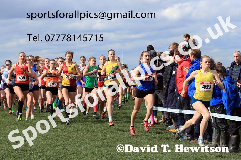 Intermediate Girls 2024 English Schools Cross Country Champs., Pontefract, March 16th.  Photo: David T. Hewitson/Sports for All Pics